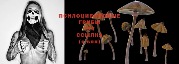 мет Пересвет